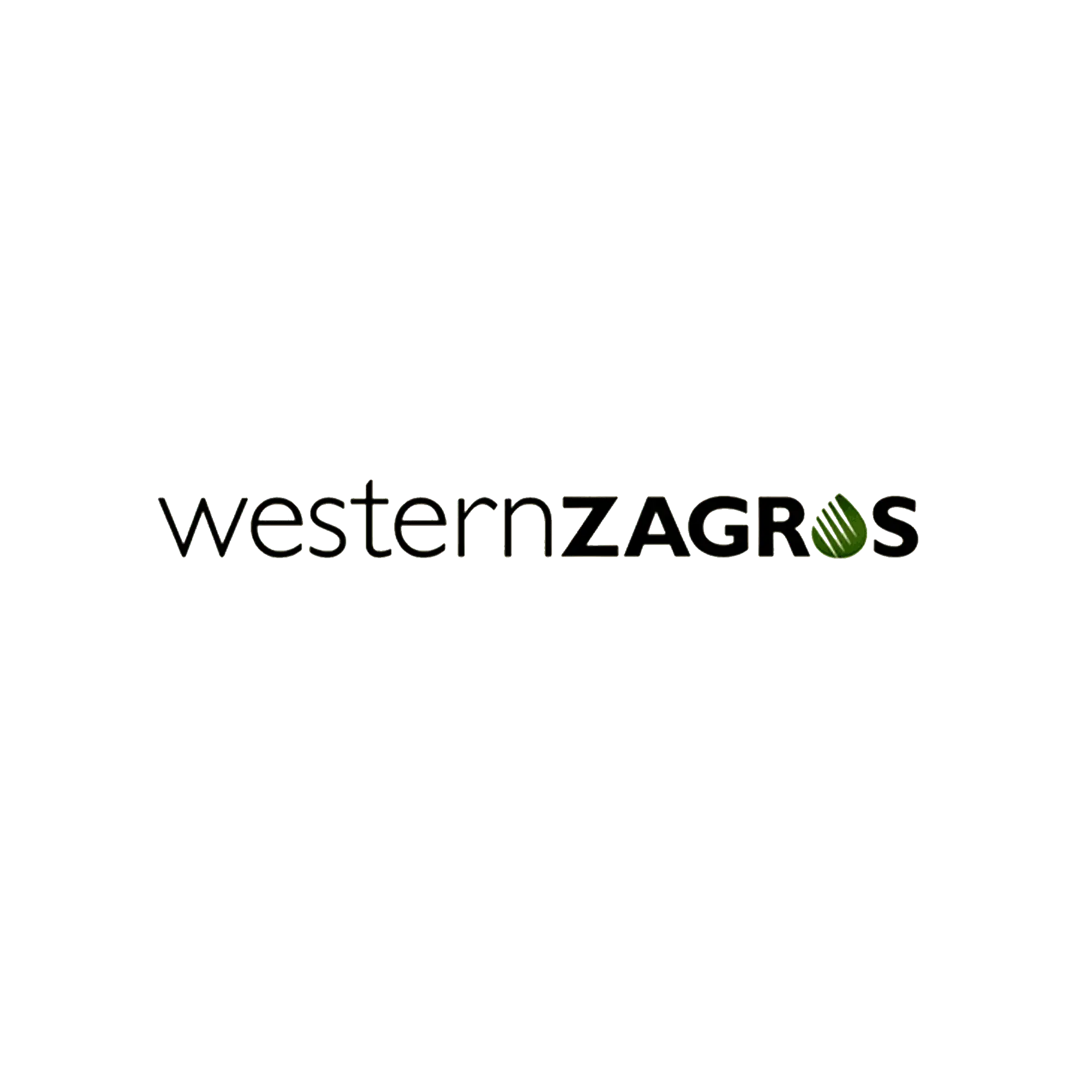 Western Zagros